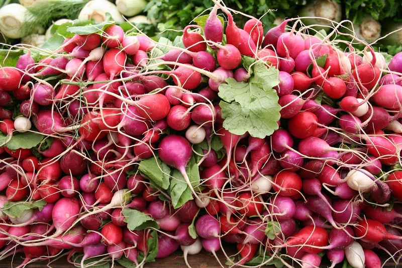 Summer Veggies
